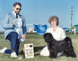 CHANG, Best Puppy in Show Sept. 1989